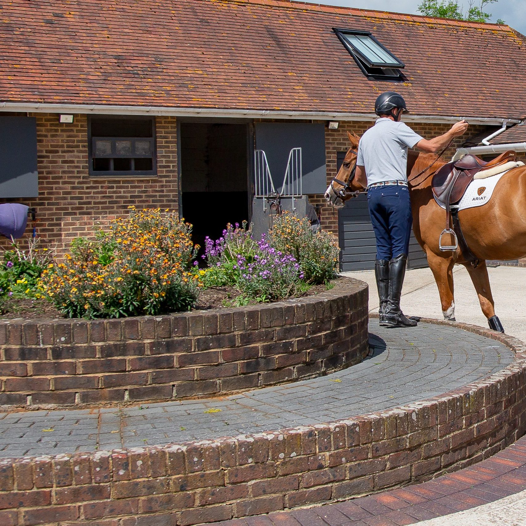 Breen Sport Horses, Glenard Farm, Henfield Road, Albourne, West Sussex,  United Kingdom. GBR.  ~ MANDATORY Credit Elli Birch/Bootsandhooves – NO UNAUTHORISED USE – 07745909676