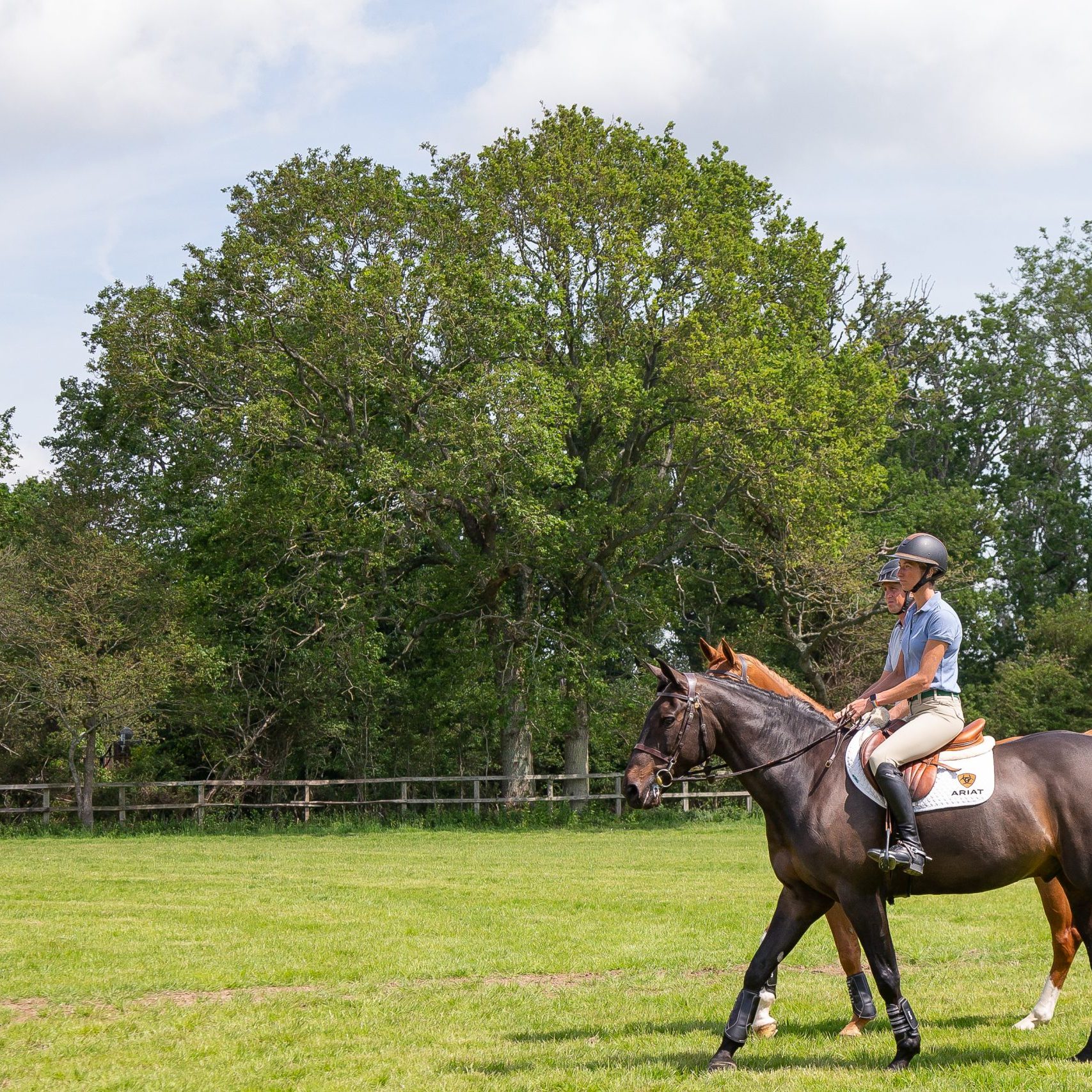 Breen Sport Horses, Glenard Farm, Henfield Road, Albourne, West Sussex,  United Kingdom. GBR.  ~ MANDATORY Credit Elli Birch/Bootsandhooves – NO UNAUTHORISED USE – 07745909676