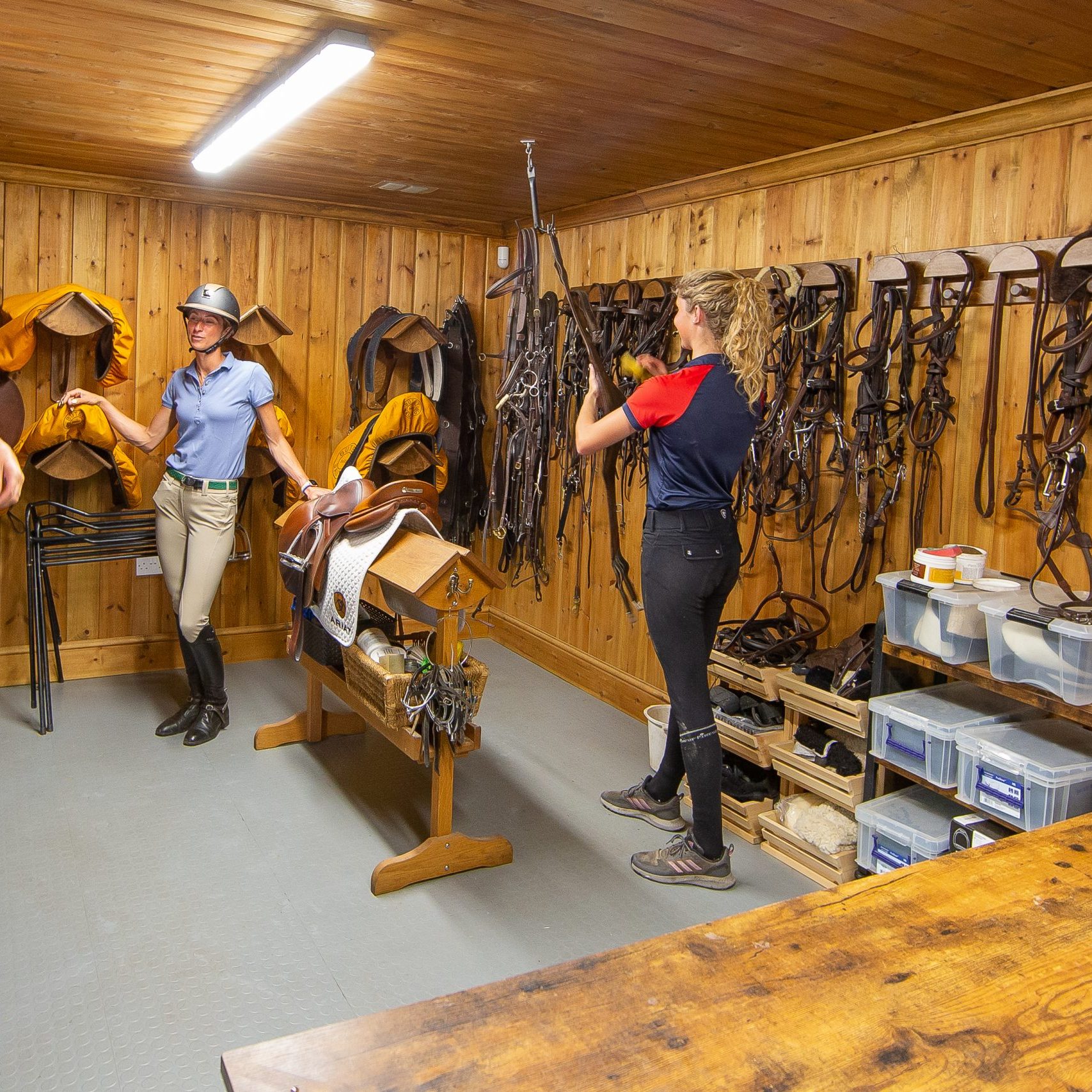 Breen Sport Horses, Glenard Farm, Henfield Road, Albourne, West Sussex,  United Kingdom. GBR.  ~ MANDATORY Credit Elli Birch/Bootsandhooves – NO UNAUTHORISED USE – 07745909676