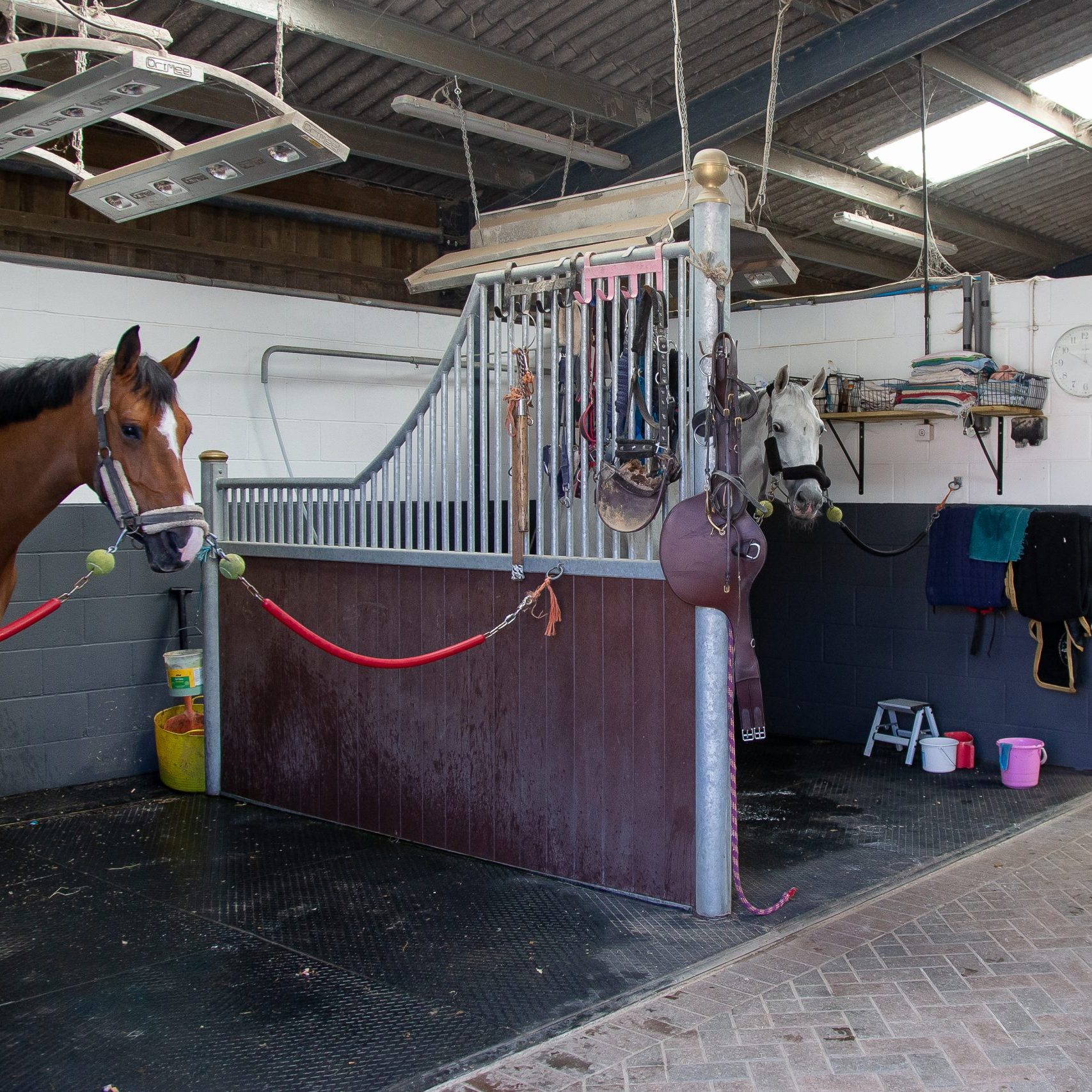 Breen Sport Horses, Glenard Farm, Henfield Road, Albourne, West Sussex,  United Kingdom. GBR.  ~ MANDATORY Credit Elli Birch/Bootsandhooves – NO UNAUTHORISED USE – 07745909676