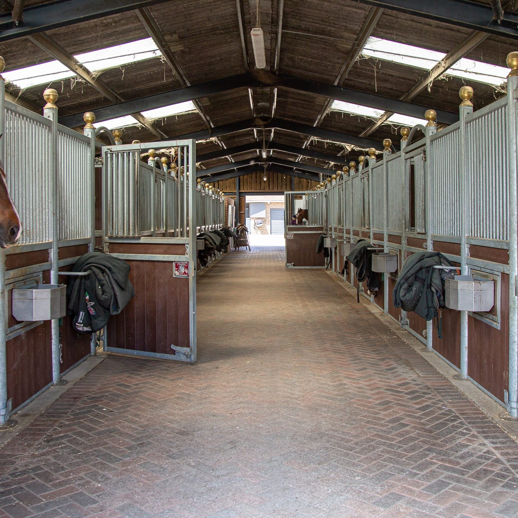 Breen Sport Horses, Glenard Farm, Henfield Road, Albourne, West Sussex,  United Kingdom. GBR.  ~ MANDATORY Credit Elli Birch/Bootsandhooves – NO UNAUTHORISED USE – 07745909676