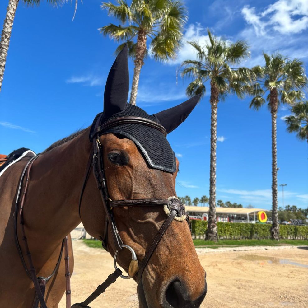 WhatsApp Image 2025-03-22 at 20.25.22