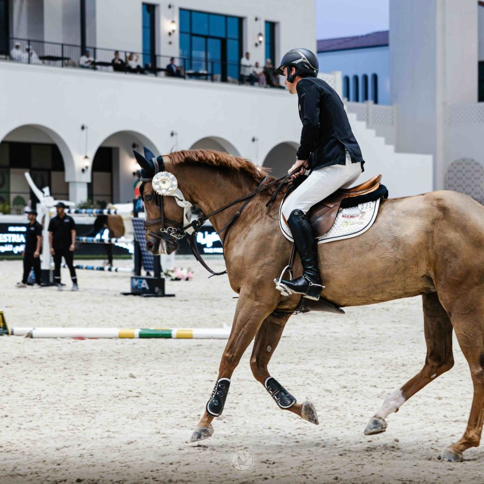 1R3A0580-Enhanced-NR